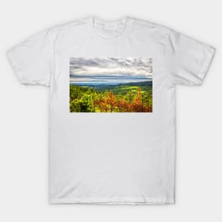 Heddy Draw Overlook T-Shirt